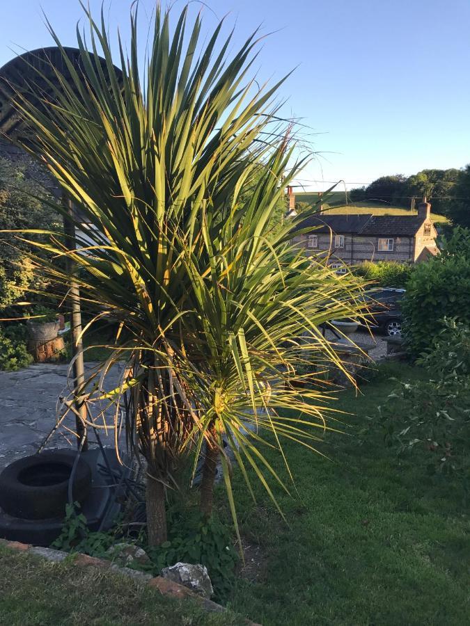 Fern Cottage Dorchester Eksteriør bilde