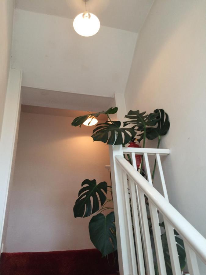 Fern Cottage Dorchester Eksteriør bilde